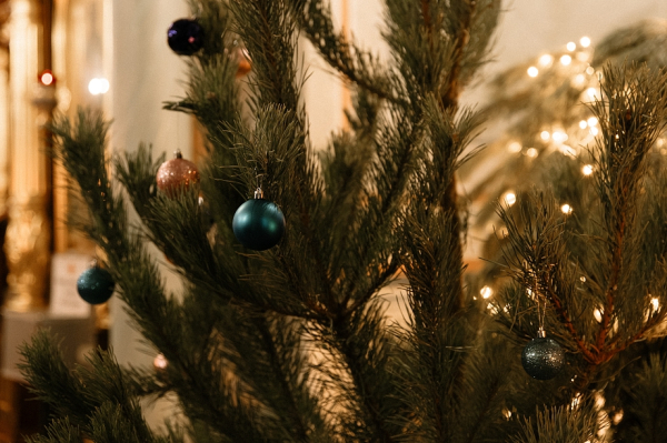 «Помолимся горячо за наших воинов, которые встречают это Рождество в боях за наше будущее» «Помолимся горячо за наших воинов, которые встречают это Рождество в боях за наше будущее»