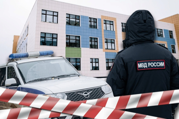 &laquo;Подорвал три петарды, после этого напал на уборщицу и спрятался. Позже он был арестован&raquo;