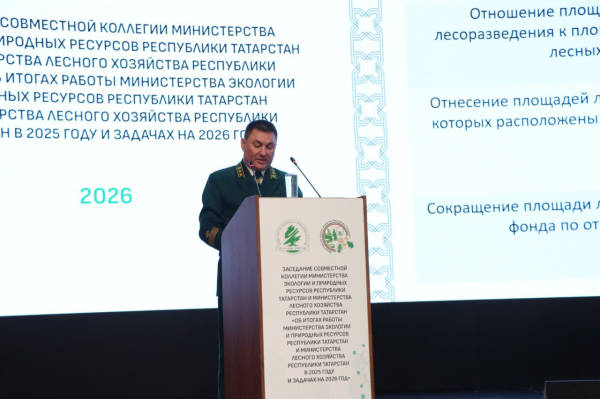 Плавучий дом-самострой отберут у хозяина: глава Минэкологии РТ рассказал о спасении водоемов