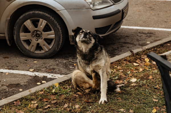 «Увечить людей в мирное время потому, что какой-то разгильдяй не делает обязанности, мы не можем» «Увечить людей в мирное время потому, что какой-то разгильдяй не делает обязанности, мы не можем»