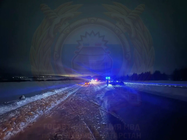 В Татарстане 60-летний шофер умер, сбив на магистрале теленка В Татарстане 60-летний шофер умер, сбив на магистрале теленка