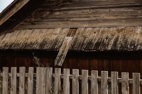 &laquo;Там рассыпает моя родина. Нет управления, нет никаких построений. Все нездоровые звери собрались там&raquo;