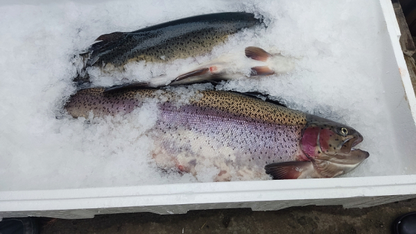 Кинза - дом с душой, где постоянно комфортно, тепло и смачно Кинза - дом с душой, где постоянно комфортно, тепло и смачно
