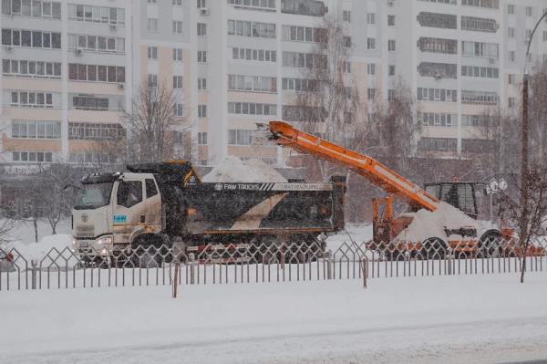 &laquo;Сильно отлично, что выпало подобное число снега. Ликовать необходимо. Значительное число снега &ndash; это неплохой сбор&raquo;