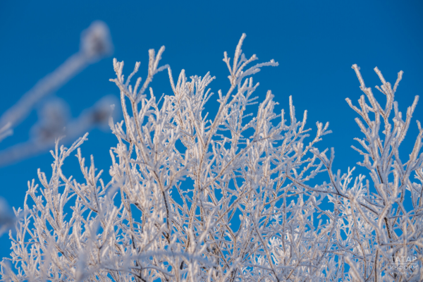 В Татарстане ожидаются морозы до −33 градусов В Татарстане ожидаются морозы до −33 градусов