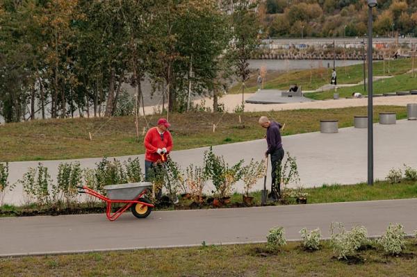 &laquo;Таковых средств на обустройство дворов город не видел никогда. В наиблежайшие 20-тридцать лет такого денежного ресурса уже не будет&raquo;
