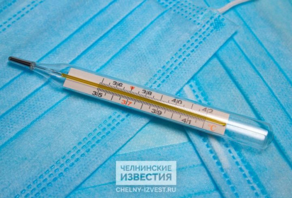 Всадники апокалипсиса: в Татарстане растет заболеваемость по 13 инфекциям