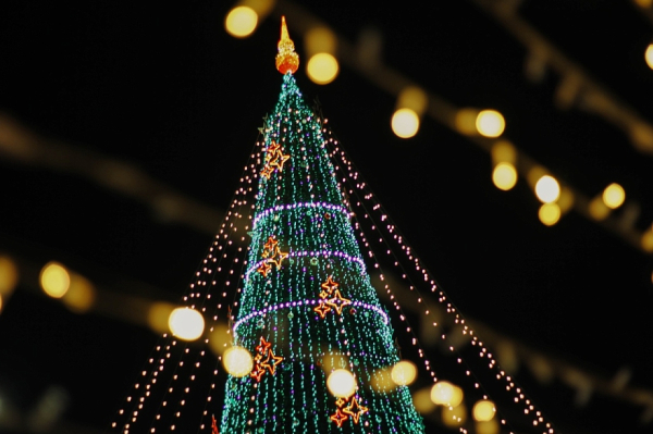 «Мы под бой кремлевских часов ходили находили малыша, который потерялся на ели. Слава Богу, обнаружили» «Мы под бой кремлевских часов ходили находили малыша, который потерялся на ели. Слава Богу, обнаружили»