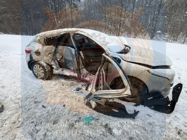 В Татарстане при обгоне в аварии умер пассажир и пострадал 14-летний ребенок