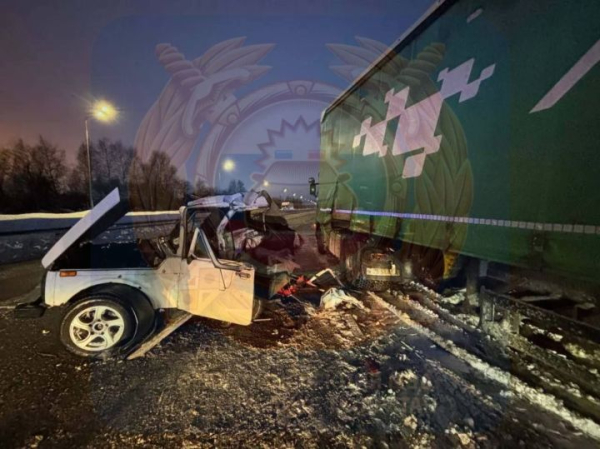 В Татарстане грузовой автомобиль, выезжая с АЗС, убил пассажирку «Нивы» В Татарстане грузовой автомобиль, выезжая с АЗС, убил пассажирку «Нивы»