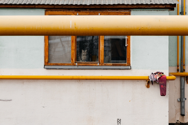 «Еще одна непростая задачка – стройку Столичного проспекта. Это остро нужно…» «Еще одна непростая задачка – стройку Столичного проспекта. Это остро нужно…»