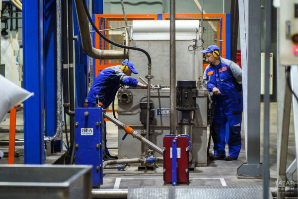 55 компаний республики Татарстан получат бесплатную поддержку в рамках проекта