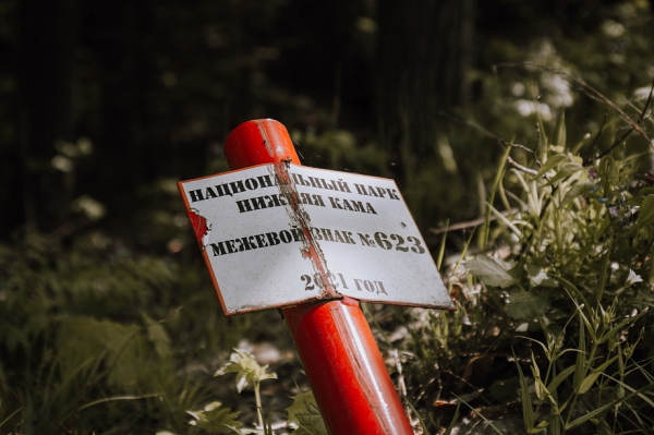 «Есть спецы, которые компетентны. Я не занимался этим вопросом» «Есть спецы, которые компетентны. Я не занимался этим вопросом»