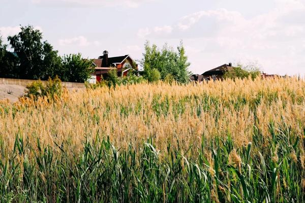 &laquo;Размер работ по магистралям еще чрезвычайно большой. Ясно, что ничего не делается просто так, по щучьему велению&raquo;