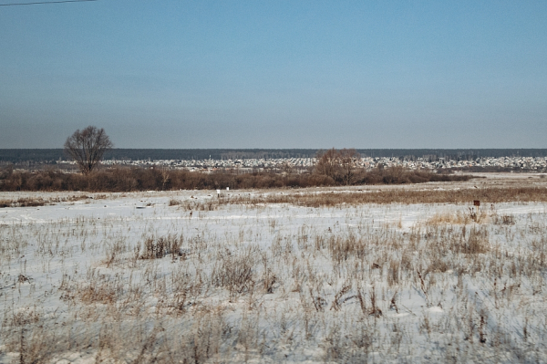 «Есть спецы, которые компетентны. Я не занимался этим вопросом» «Есть спецы, которые компетентны. Я не занимался этим вопросом»