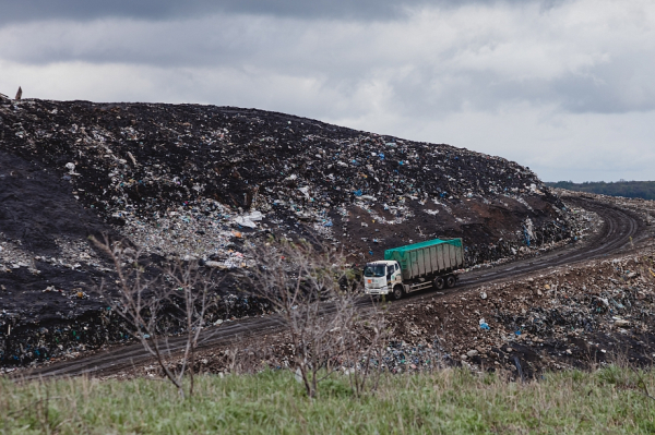 «Есть спецы, которые компетентны. Я не занимался этим вопросом» «Есть спецы, которые компетентны. Я не занимался этим вопросом»