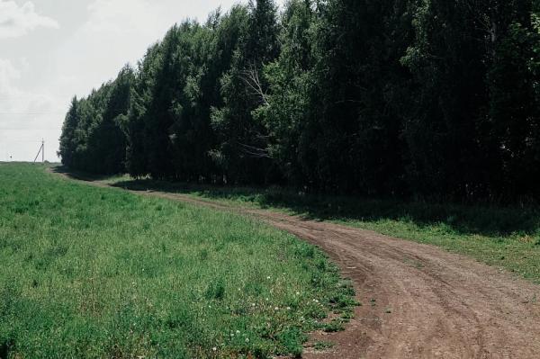 &laquo;Темная метка&raquo; для заместитель руководителя Актанышского района Габдулхаева: государственного служащего сняли с поста по утрате доверия в условиях уголовки