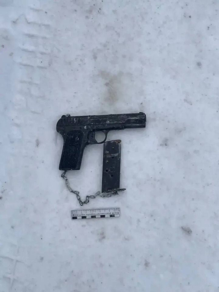 В Елабужском районе у обитателя Нижнекамска изъяли пистолет ТТ и боевые припасы В Елабужском районе у обитателя Нижнекамска изъяли пистолет ТТ и боевые припасы