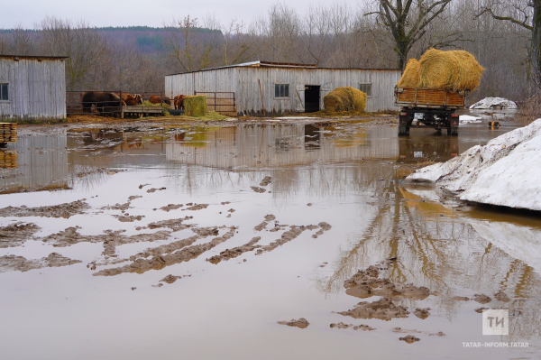 Длительная весна и бурный паводок: прогноз для республики Татарстан