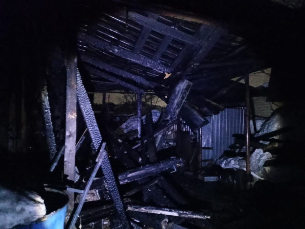 Под Челнами на глазах у хозяина сгорел 2-этажный дачный дом