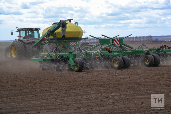 В Татарстане проверили восемьдесят три процента семян к весенним полевым работам В Татарстане проверили восемьдесят три процента семян к весенним полевым работам