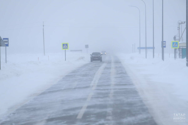 МЧС предупредило о метели и сильном ветре в Татарстане