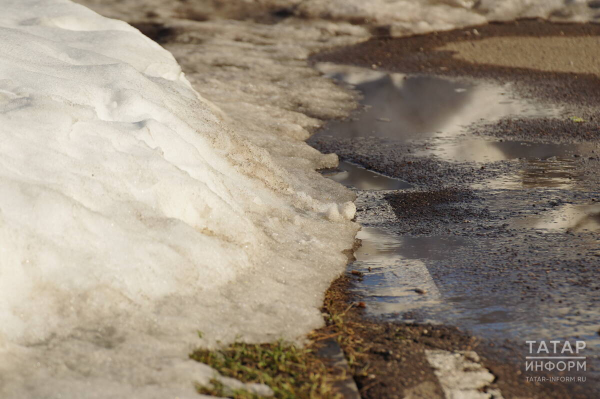 В Челнах вывезли 660 тыс. кубических метров снега перед паводком В Челнах вывезли 660 тыс. кубических метров снега перед паводком