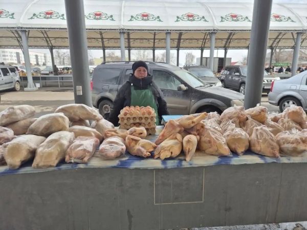 В Набережных Челнах состоялись традиционные сельхозярмарки В Набережных Челнах состоялись традиционные сельхозярмарки