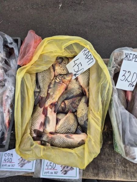 В Набережных Челнах состоялись традиционные сельхозярмарки В Набережных Челнах состоялись традиционные сельхозярмарки