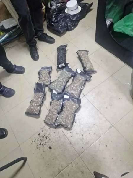 Большой улов: в Татарстане наркополицейские изъяли свыше 4 кг наркотических средств Большой улов: в Татарстане наркополицейские изъяли свыше 4 кг наркотических средств