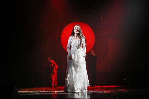 &laquo;У вас прекрасный зритель&raquo;: в Челнах завершились гастроли абхазского театра