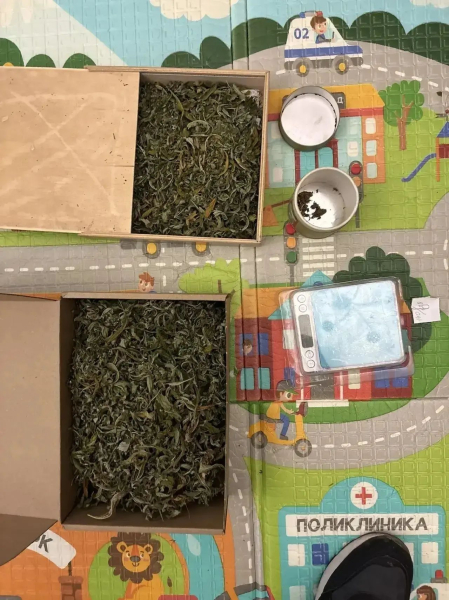 Большой улов: в Татарстане наркополицейские изъяли свыше 4 кг наркотических средств Большой улов: в Татарстане наркополицейские изъяли свыше 4 кг наркотических средств