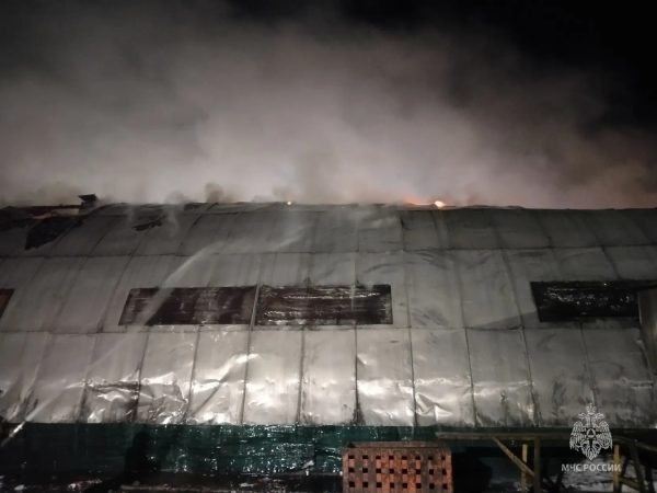 В Челнах пожар уничтожил мусорный ангар Поволжской экокомпании