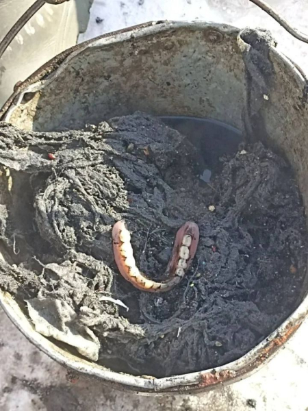 «Даже они теряют дар речи»: что челнинцы смывают в унитаз «Даже они теряют дар речи»: что челнинцы смывают в унитаз