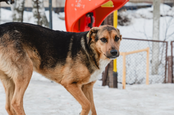 &laquo;Прокуратура будет действовать очень агрессивно: завлекать к ответственности и добиваться ликвидации нарушений&raquo;