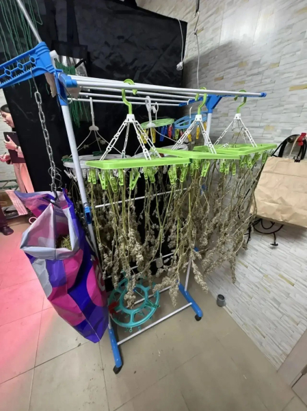 Большой улов: в Татарстане наркополицейские изъяли свыше 4 кг наркотических средств Большой улов: в Татарстане наркополицейские изъяли свыше 4 кг наркотических средств