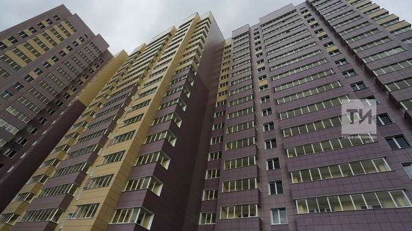 В Государственной Думе предупредили об угрозе москитных сеток для детишек