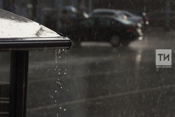 МЧС предупредило о тумане и мощном ливне в Татарстане