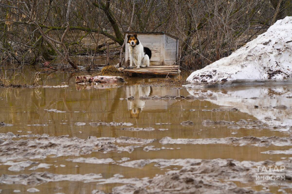 Прогноз погоды в Набережных Челнах на 14 апреля