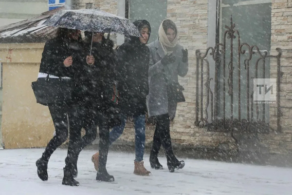 МЧС предупредило о сильном ветре и влажном снеге в Татарстане