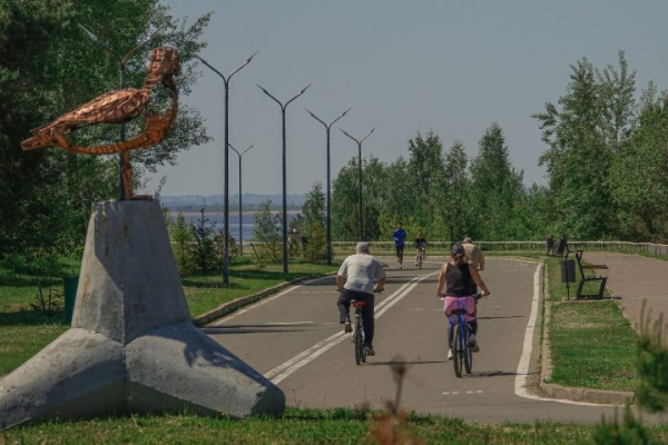 &laquo;10 годов назад вышла замуж за не имеющего детей. Желаю чтоб все осталось моему сыну&raquo;