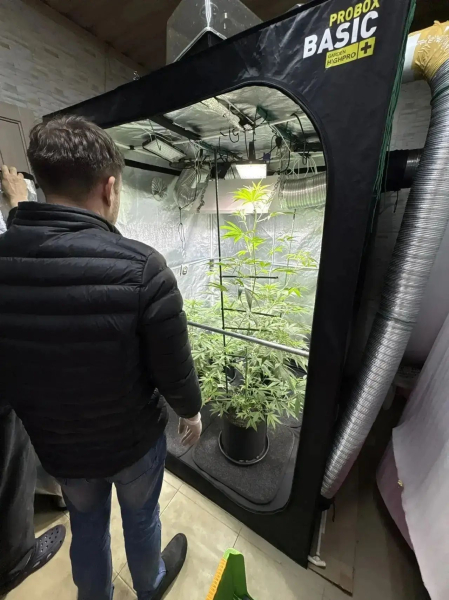 Большой улов: в Татарстане наркополицейские изъяли свыше 4 кг наркотических средств Большой улов: в Татарстане наркополицейские изъяли свыше 4 кг наркотических средств