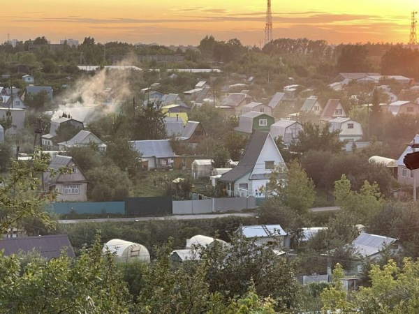 &laquo;Вам штраф!&raquo;: мошенники запугивают дачников из-за борщевика