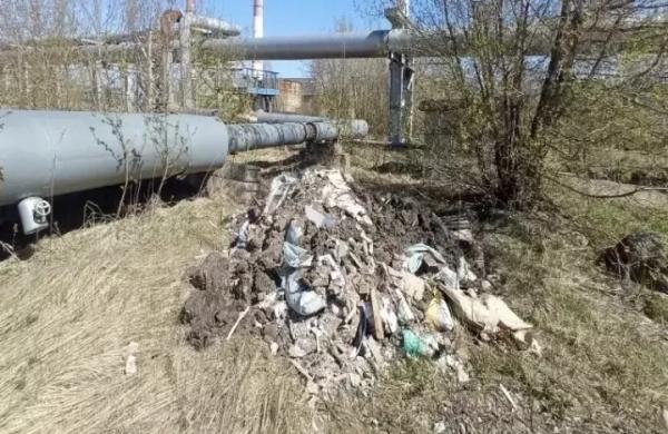 Экологи обнаружили свалку в СНТ &laquo;Заря&raquo; под Челнами