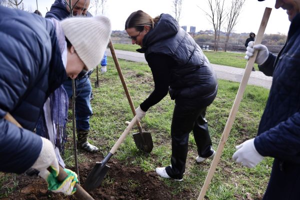 В Набережных Челнах посадили более 600 деревьев 