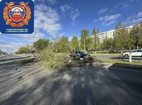 В Челнах в ДТП пострадал 19-летний водитель иномарки и его пассажирка