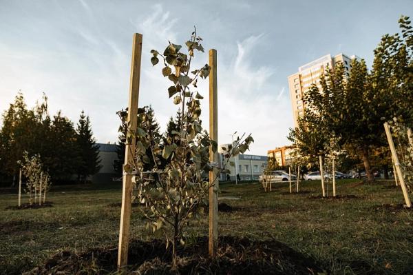 &laquo;Если бы у сотрудников правоохранительных органов было достаточно доказательств, то их давно бы уже достали&raquo;