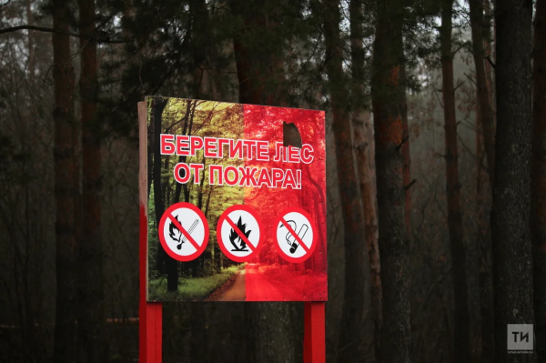 В Татарстане продлили штормовое предупреждение из-за жары и пожаров