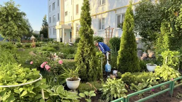 Кот ученый и вишневый сад: дворы Челнов превратились в Лукоморье Кот ученый и вишневый сад: дворы Челнов превратились в Лукоморье