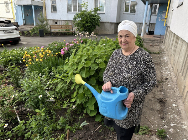 Кот ученый и вишневый сад: дворы Челнов превратились в Лукоморье Кот ученый и вишневый сад: дворы Челнов превратились в Лукоморье